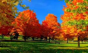 Autumn