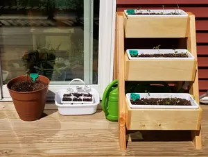 Plant Stands