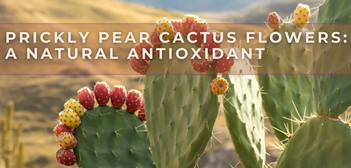Cactus is a natural cure