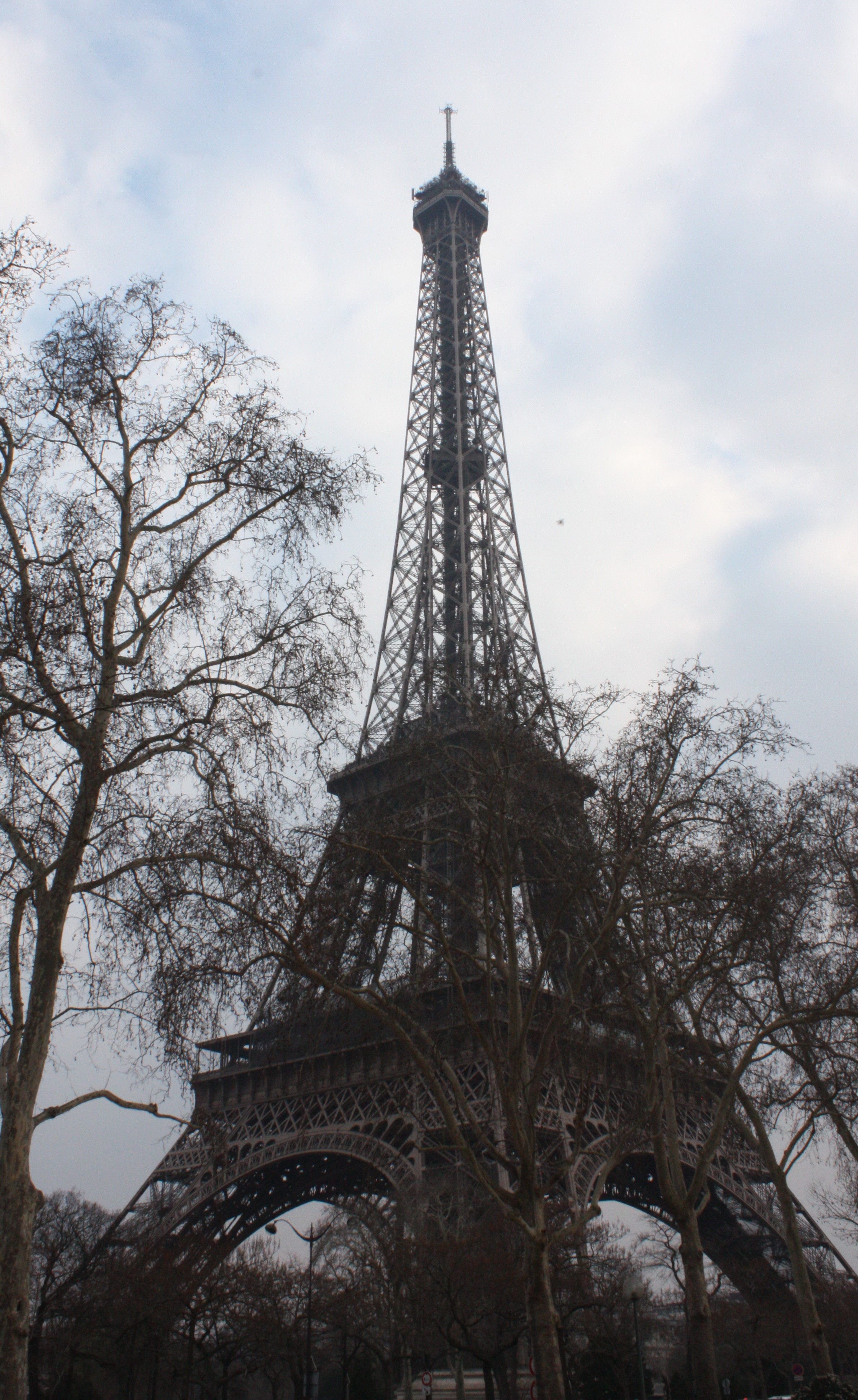 Eiffel Tower in Paris