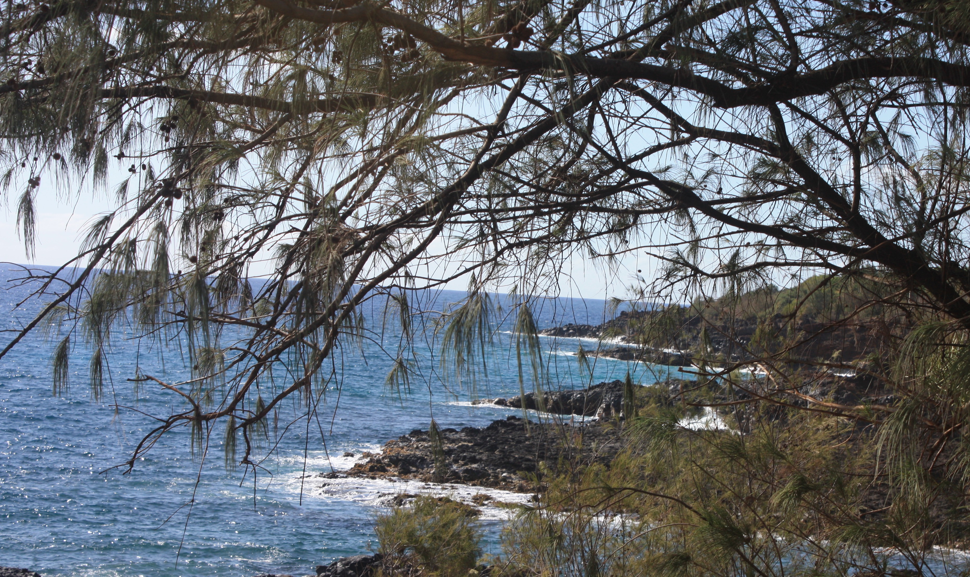 Hawaii Coast Hawaii Coast