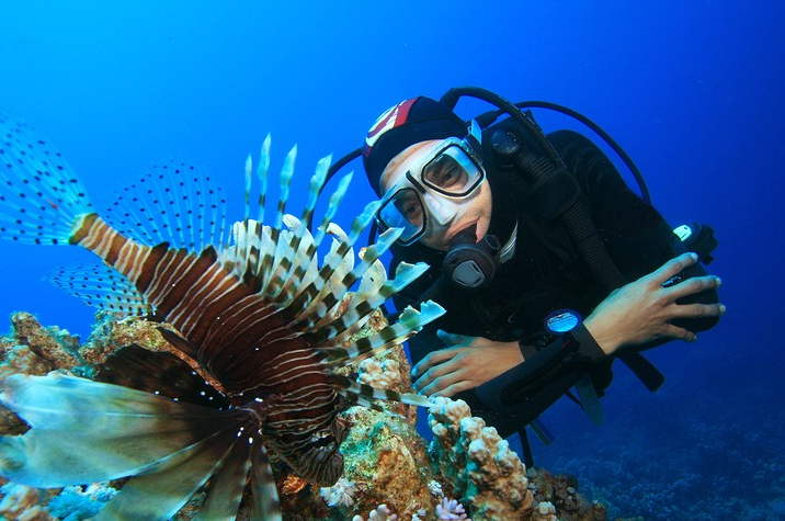 Marine Biology
