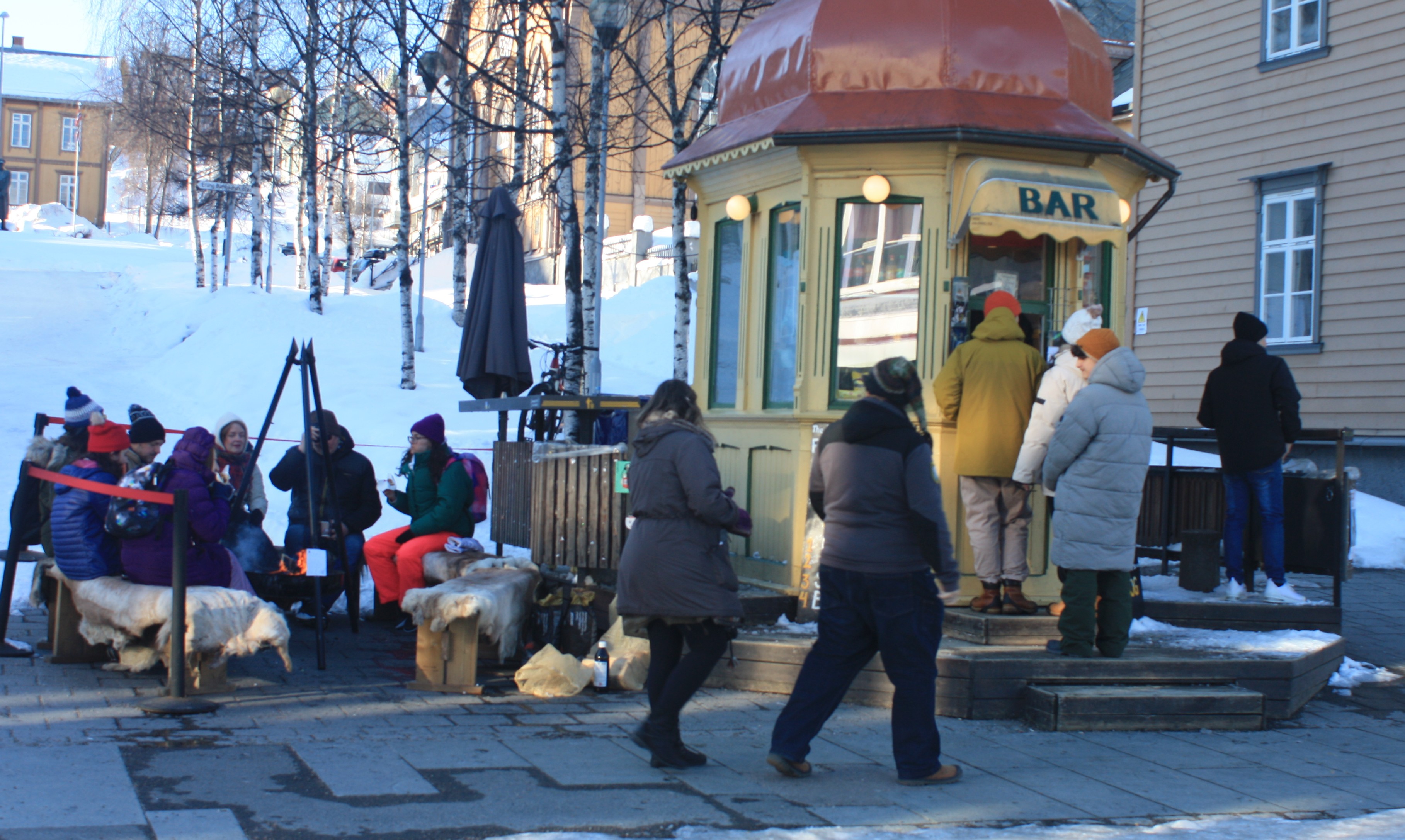 Norway Reindeer Dogs Norway Reindeer Dogs