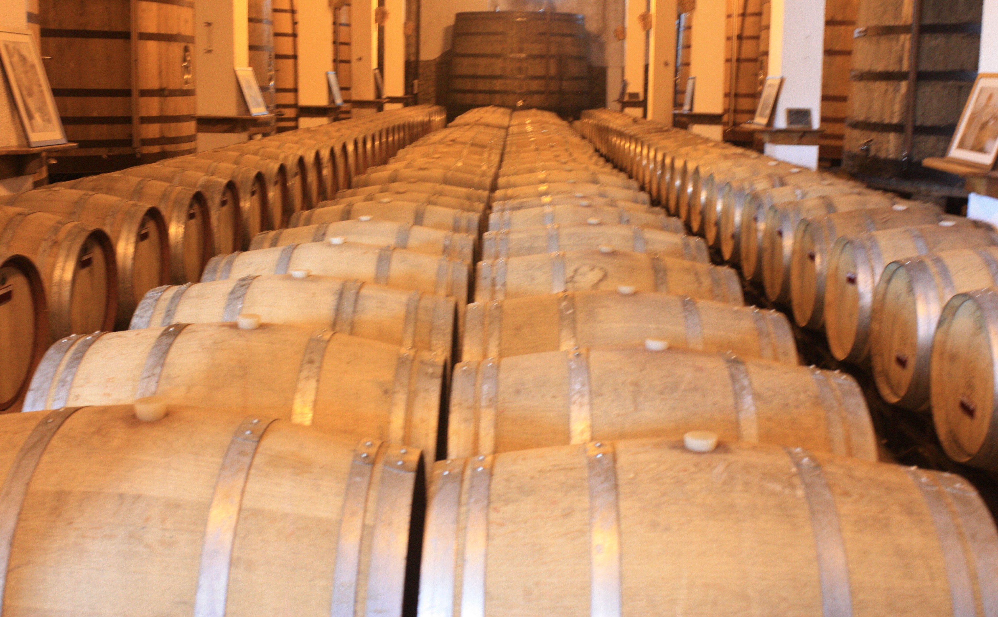 Wine Barrels